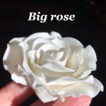 grosse rose