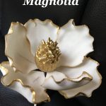 magnolia doree