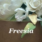 freesia